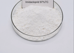 Imidacloprid