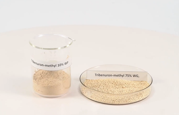 Tribenuron-methyl