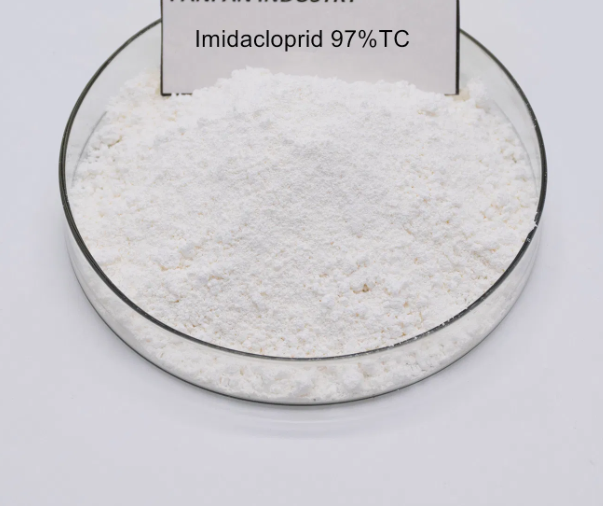Imidacloprid
