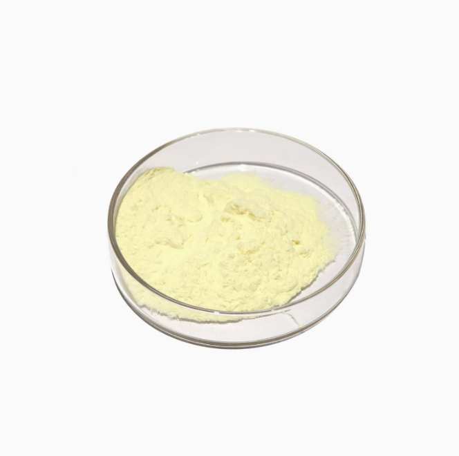 Amphotericin B