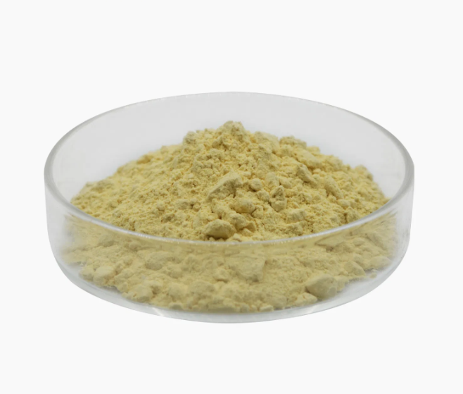 Amphotericin B