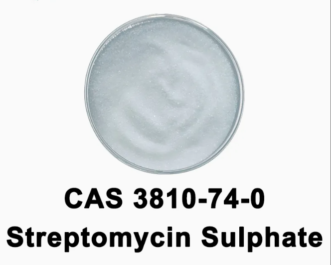 Streptomycin sulfate