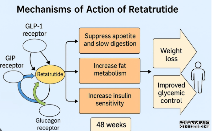 <b>FAQs: How Does Retatrutide Work？</b>