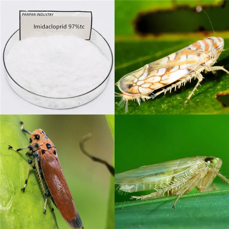 Price 97%Tc Technical Imidacloprid Pesticides