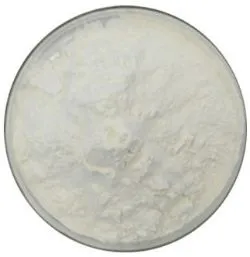 High Quality 99% Pharmaceutical Antibiotics Ampicillin Sodium Powder CAS 69-52-3 Ampicillin Sodium